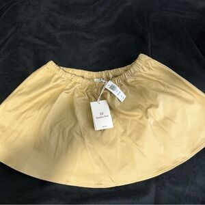 Aritzia Mini Skirt